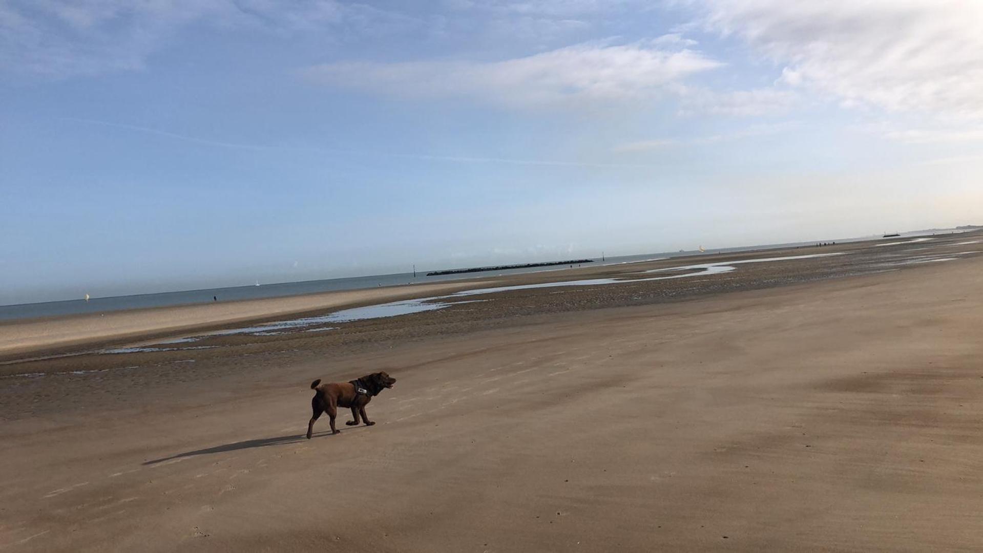 Appartement Sur La Plage De Malo Les Bains Vue Mer Dunkirk Ngoại thất bức ảnh